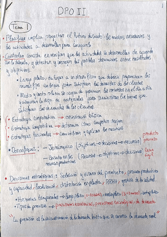 DPO-II-TEMAS-1-4.pdf