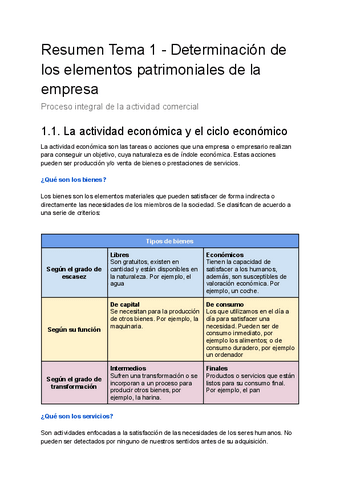 Resumen-Tema-1-Proceso-integral-de-la-actividad-comercial.pdf