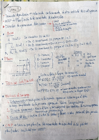 DPO II   TEMAS-5-8.pdf