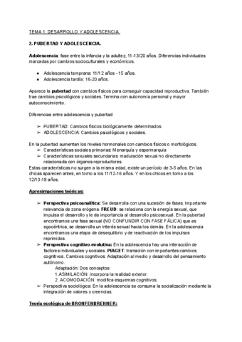 RESUMEN-TEMA-1-ADP.pdf