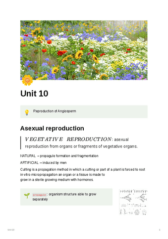 Unit-10.pdf