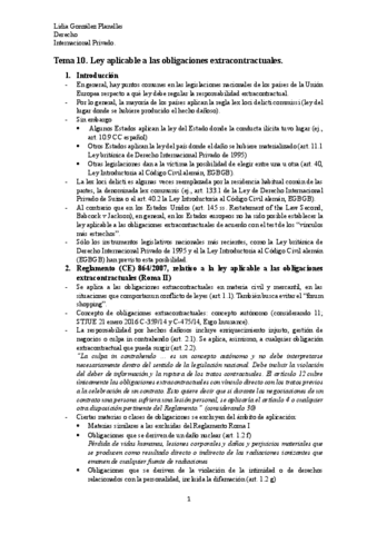 Tema-10-Internacional-Privado.pdf