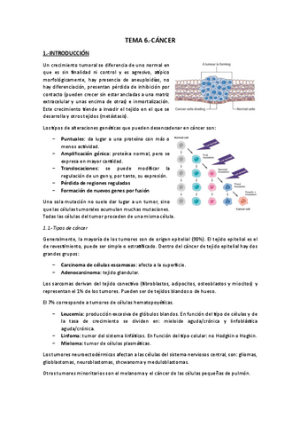 Tema 6.-Cáncer.pdf