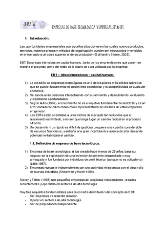 TEMA-5b-EMPRESAS-DE-BASE-TECNOLOGICA-Y-EMPRESAS-SPIN-OFF.pdf