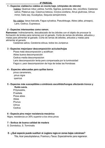 Preguntas-P4.pdf