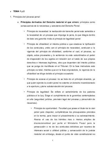 PREGUNTAS PROCESAL PENAL.pdf