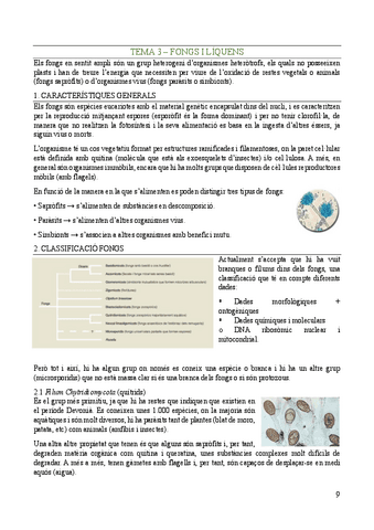 Biologia-Vegetal-Tema-3.pdf