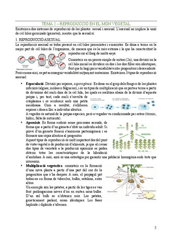 Biologia-Vegetal-Tema-2.pdf