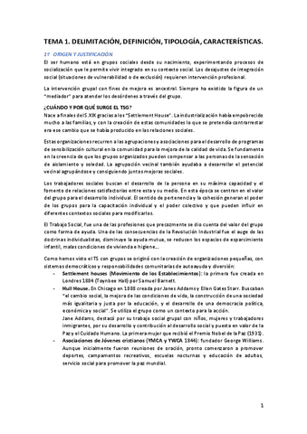TEMAS-TSG.pdf