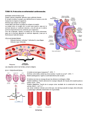 TEMA-10-CLI-SAL.pdf
