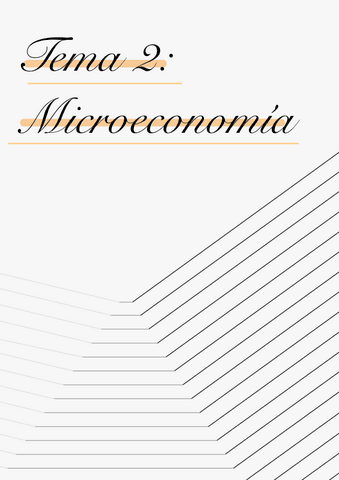 TEMA-2-Elasticidades-MICROECONOMIA.pdf