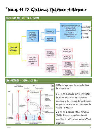 Tema-11-12-Sistema-Nervioso-Autonomo.pdf