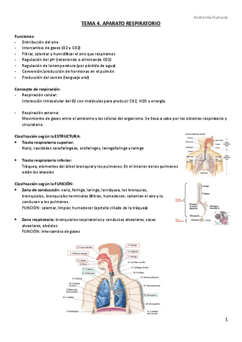 TEMA-4.-Aparato-respiratorio.pdf