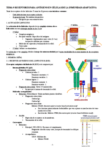 INMUNOLOGIA-TEMA-9-RECEPTORES-PARA-ANTIGENO-EN-CELULAS-DE-LA-INMUNIDAD-ADAPTATIVA.pdf