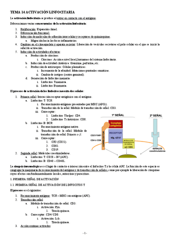 INMUNOLOGIA-TEMA-14-ACTIVACION-LINFOCITARIA.pdf