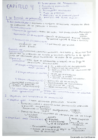 TEMA-4-IEE-ADEFYCO.pdf