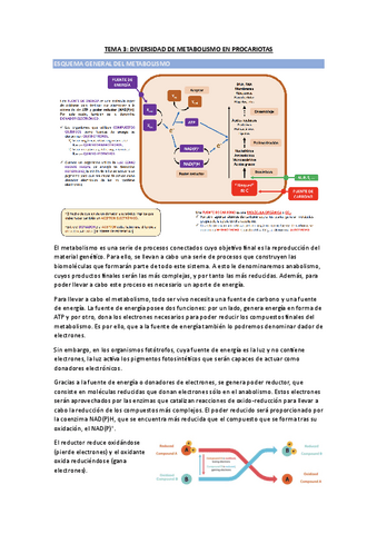 TEMA-3-MICROBIOLOGIA.pdf