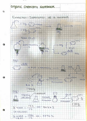 lab-notebook.pdf