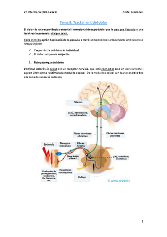 Tema-9-Tractament-del-dolor.pdf