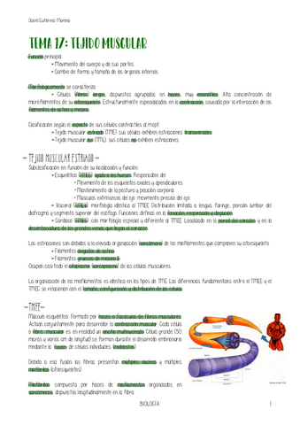 TEMA-17-BIOLOGIA.pdf