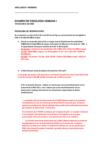 SOLUCIONES-problema-respiratorio-dic-2022.pdf