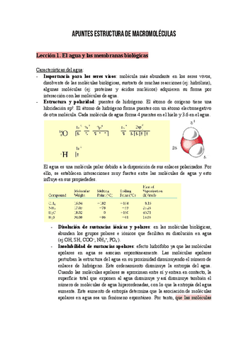 Apuntes Estructura de macromoléculas 2023-2024.pdf