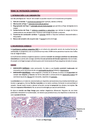 10. Patología Cardiaca.pdf