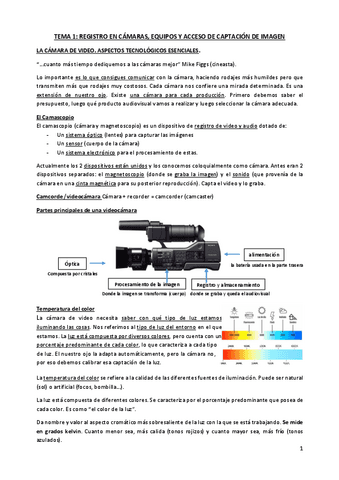 TEMA-1-TIC-I.pdf
