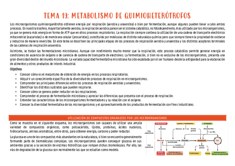 micro-tema-19.pdf