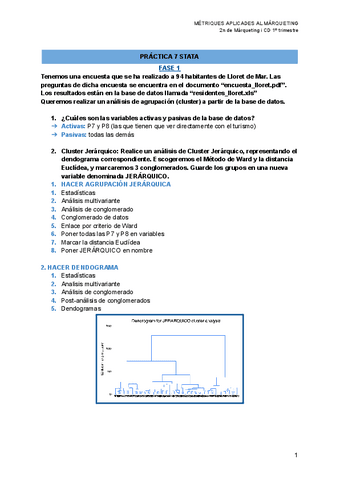 PRACTICA-7-STATA.pdf