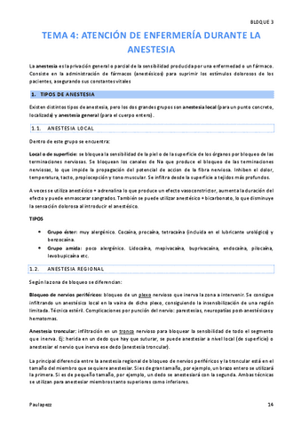 TEMA-4.pdf