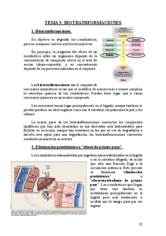 Tema-3.-Biotransformaciones.pdf