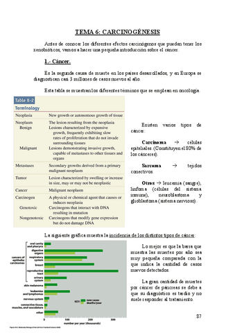 Tema-6.-Carcinogenesis.pdf