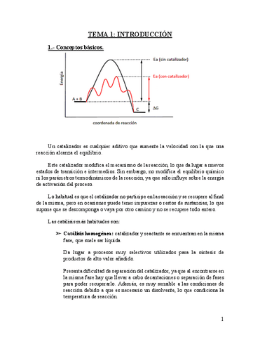 Tema-1.-Introduccion.pdf