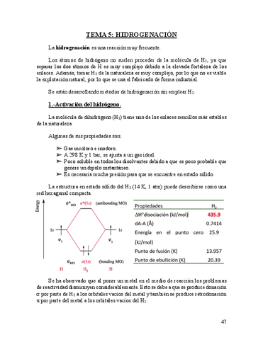 Tema-5.-Hidrogenacion.pdf