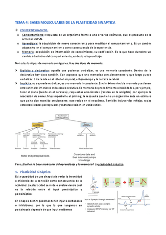 Tema-4-Bases-moleculares-de-la-plasticidad-sinaptica.pdf