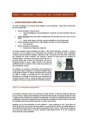 TEMA-5-FUNCIONES-COMPLEJAS-DEL-SN.pdf