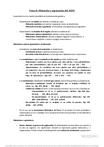 Tema-8-Genetica-Molecular-23-24.pdf
