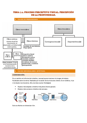 TEMA-7.2.-apuntes-PROCESO-PERCEPTIVO-VISUAL.pdf
