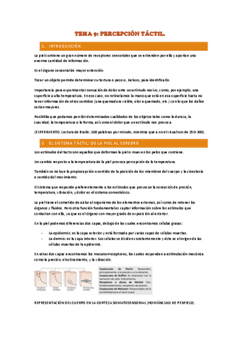 TEMA-9.-apuntes-PERCEPCION-TACTIL.pdf