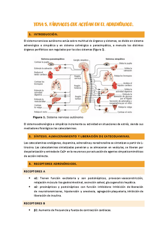 TEMA-5.-FARMACOS-QUE-ACTUAN-EN-EL-ADRENERGICO.pdf