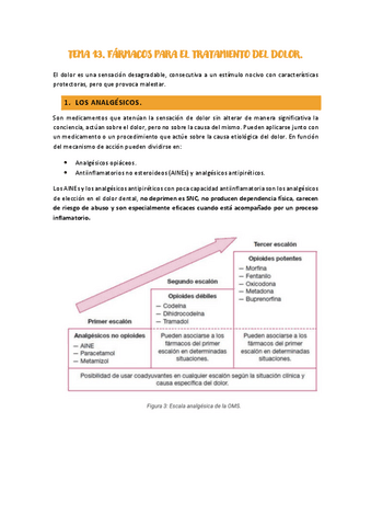 TEMA-13.-FARMACOS-PARA-EL-TRATAMIENTO-DEL-DOLOR.pdf