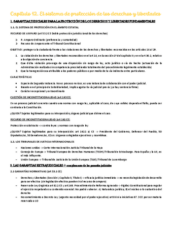 resumenes-consti-capitulo-12.pdf