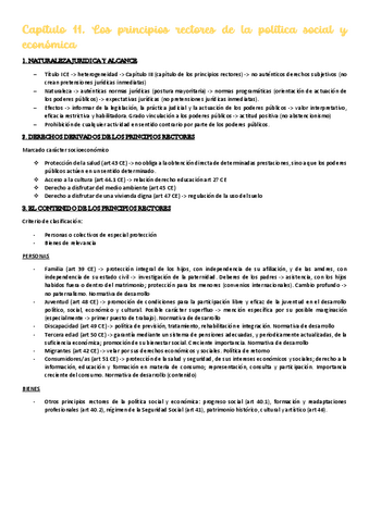 resumenes-consti-capitulo-11.pdf