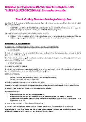 bloque-3-el-derecho-de-accion.pdf
