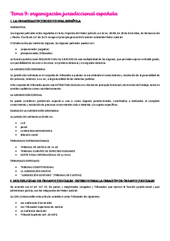 tema-9-organizacion-jurisdiccional-espanola.pdf