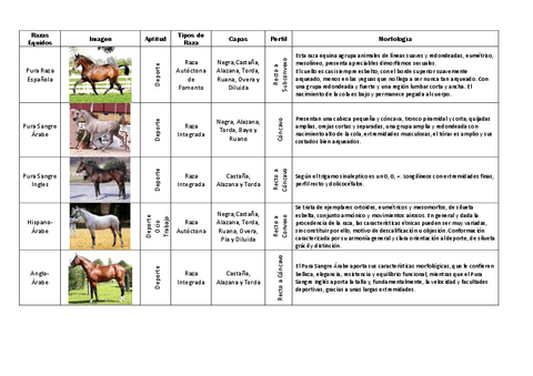 Etnologia-Comparada-Equidos.pdf