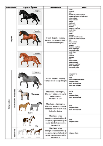 Etnologia-Capas-Equidos.pdf