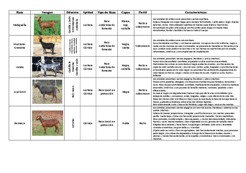 Etnologia-Comparada-Caprino.pdf