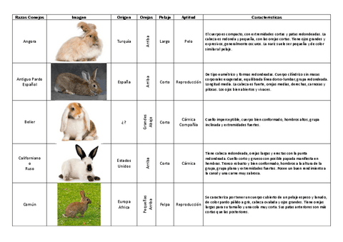 Etnologia-Comparada-Conejos.pdf